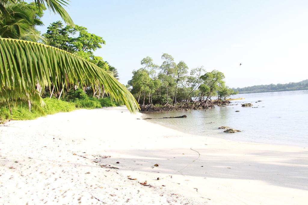 Havelock Island Beach Resort Govind Nagar Chambre photo